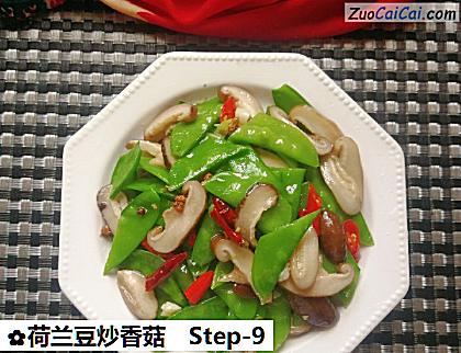 荷兰豆炒香菇做法第九步骤