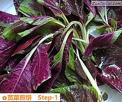 苋菜煎饼做法第一步骤