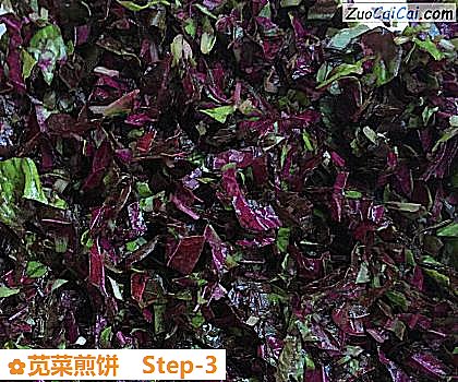 苋菜煎饼做法第三步骤