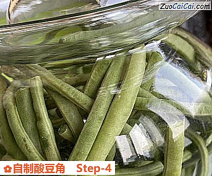 自制酸豆角做法第四步骤