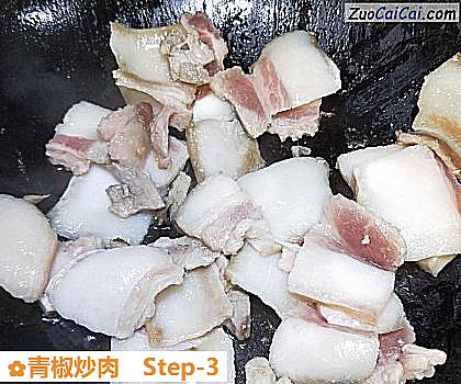 青椒炒肉做法第三步骤