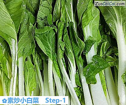 素炒小白菜做法第一步骤