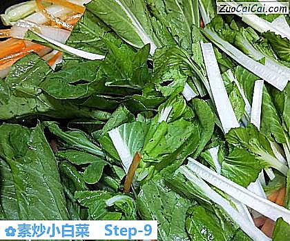 素炒小白菜做法第九步骤