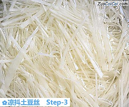 凉抖土豆丝做法第三步骤