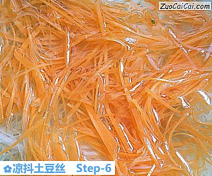凉抖土豆丝做法第六步骤