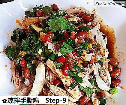 凉拌手撕鸡做法第九步骤