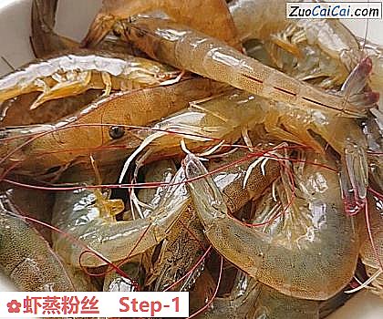 虾蒸粉丝做法第一步骤