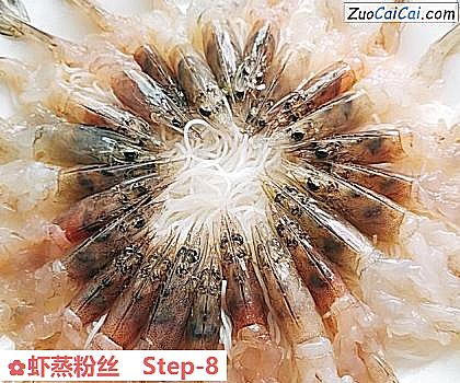 虾蒸粉丝做法第八步骤