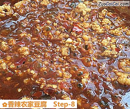 香辣农家豆腐做法第八步骤