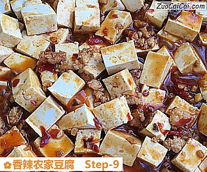 香辣农家豆腐做法第九步骤