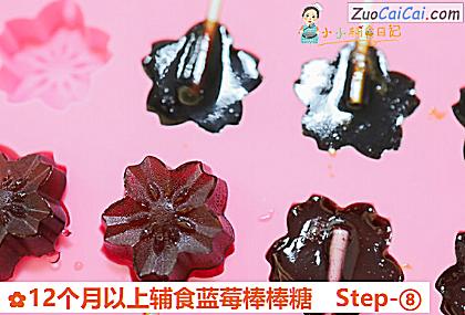 12个月以上辅食蓝莓棒棒糖做法第八步骤