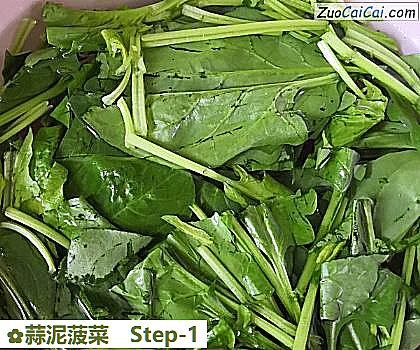 蒜泥菠菜做法第一步骤