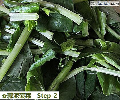 蒜泥菠菜做法第二步骤