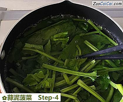 蒜泥菠菜做法第四步骤