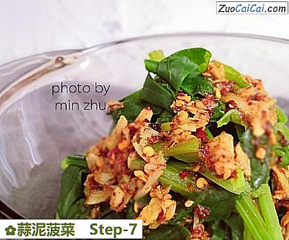 蒜泥菠菜做法第七步骤