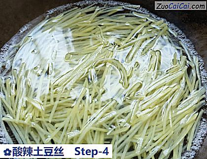 酸辣土豆丝做法第四步骤