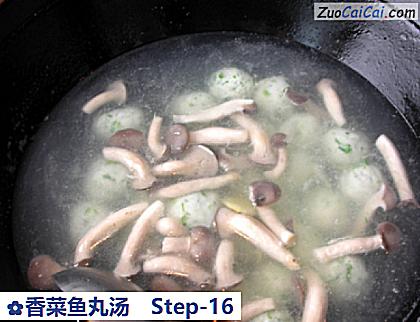 香菜鱼丸汤做法第十六步骤