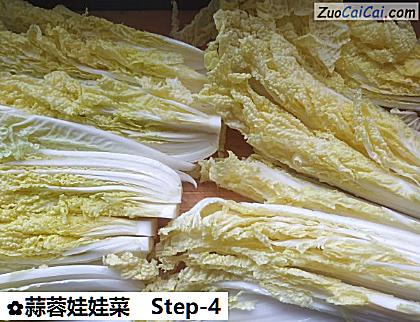 蒜蓉娃娃菜做法第四步骤