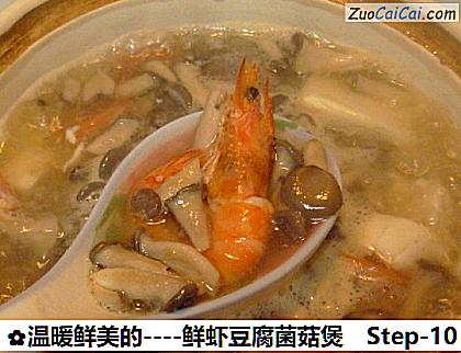 鲜虾豆腐菌菇煲做法第十步骤