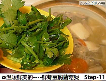 鲜虾豆腐菌菇煲做法第十一步骤