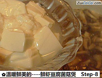 鲜虾豆腐菌菇煲做法第八步骤