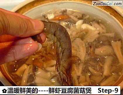 鲜虾豆腐菌菇煲做法第九步骤