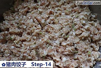 猪肉饺子做法第十四步骤