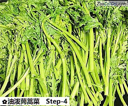 油泼茼蒿菜做法第四步骤