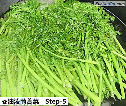 油泼茼蒿菜做法第五步骤