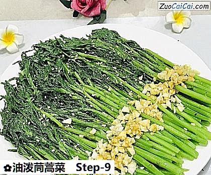 油泼茼蒿菜做法第九步骤