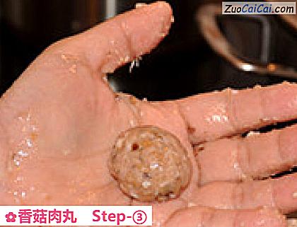 香菇肉丸做法第三步骤