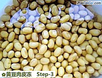 黄豆肉皮冻做法第三步骤