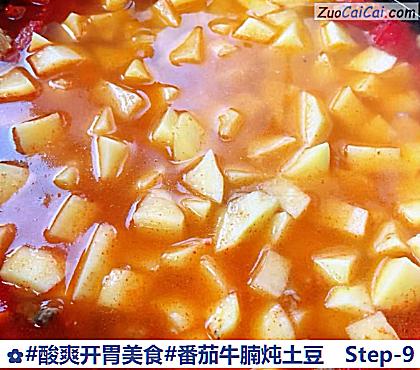 番茄牛腩炖土豆做法第九步骤