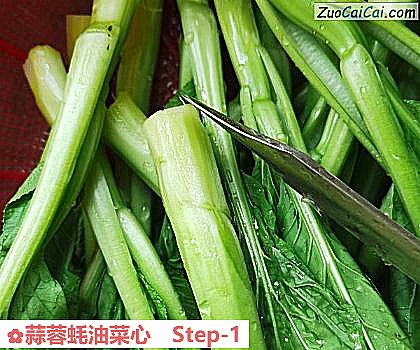 蒜蓉蚝油菜心做法第一步骤
