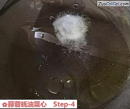 蒜蓉蚝油菜心做法第四步骤