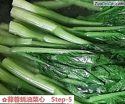 蒜蓉蚝油菜心做法第五步骤