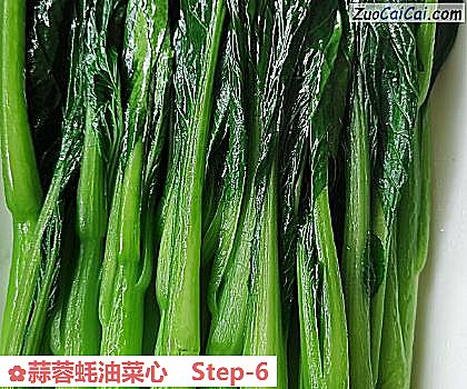 蒜蓉蚝油菜心做法第六步骤