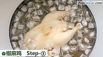 椒麻鸡做法第三步骤