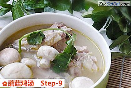 蘑菇鸡汤做法第九步骤