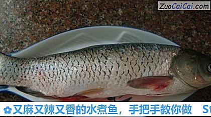 又麻又辣又香的水煮鱼,手把手教你做做法第一步骤