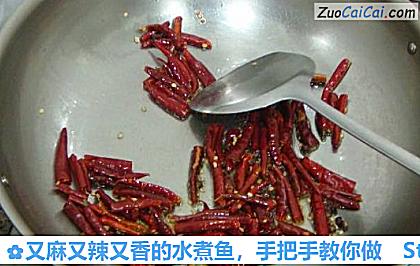 又麻又辣又香的水煮鱼,手把手教你做做法第十一步骤