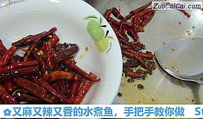 又麻又辣又香的水煮鱼,手把手教你做做法第十二步骤