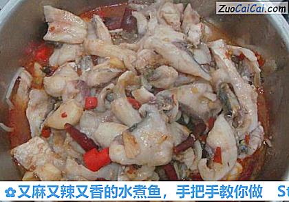 又麻又辣又香的水煮鱼,手把手教你做做法第十八步骤
