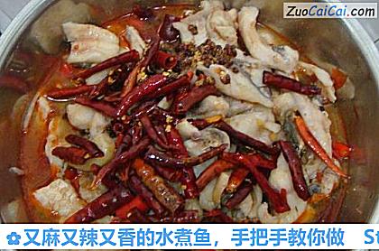 又麻又辣又香的水煮鱼,手把手教你做做法第十九步骤