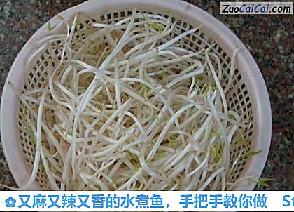 又麻又辣又香的水煮鱼,手把手教你做做法第四步骤