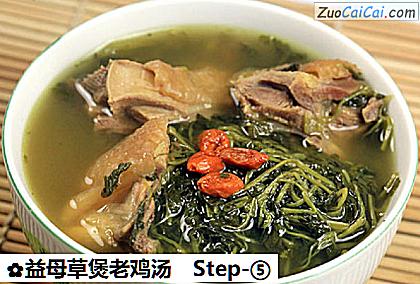 益母草煲老鸡汤做法第五步骤