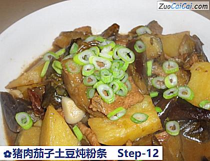 猪肉茄子土豆炖粉条做法第十二步骤