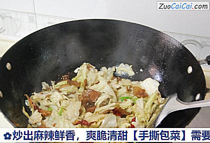 手撕包菜做法第十二步骤