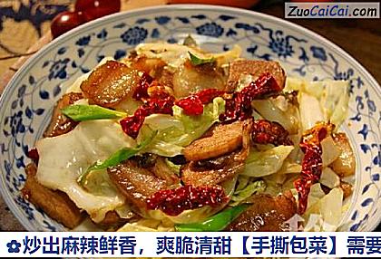 手撕包菜做法第十三步骤