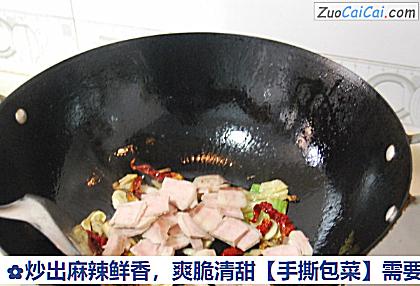 手撕包菜做法第五步骤